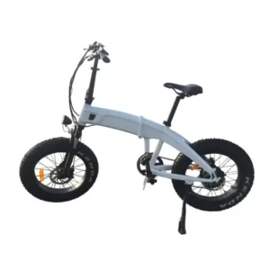 coastal-cruiser-750w-48v-20x4-folding-fat-tire-step-over-electric-bike