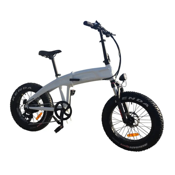 Coastal Cruiser 750W 48V 20x4 Folding Fat Tire Step Over Electric Bike