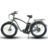 Coastal Cruiser Beach Cruiser Step Over 750W 52V 26x4 Fat Tire Electric Bike