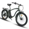 Coastal Cruiser Step Over 24x3 52V/17Ah 750W Electric Bike