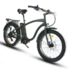 Coastal Cruiser Step Over 24x3 52V/17Ah 750W Electric Bike