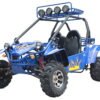 Commander 200 Buggy Go Kart, Electric Start, Automatic with Reverse, Ages 16 and up - Metallic Blue