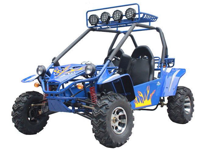 Commander 200 Buggy Go Kart, Electric Start, Automatic with Reverse, Ages 16 and up - Metallic Blue