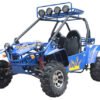 Commander 200 Buggy Go Kart, Electric Start, Automatic with Reverse, Ages 16 and up - Metallic Blue