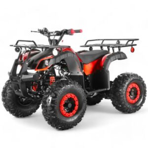coolster-125cc-r3-kids-atv-2
