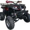 Cougar UT 200cc Utility ATV, Automatic with Reverse, 10-inch Alloy Wheels - Burgundy