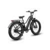 Dirwin Pioneer Step-Thru 750W 48V All-Terrain Fat Tire Electric Bike