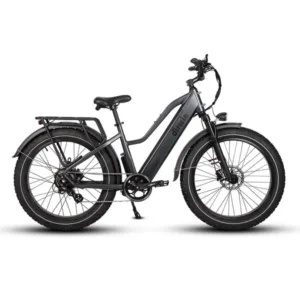 dirwin-pioneer-step-thru-750w-48v-all-terrain-fat-tire-electric-bike