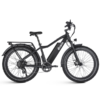 Dirwin Seeker 750W 48V All-Terrain Fat Tire Electric Bike