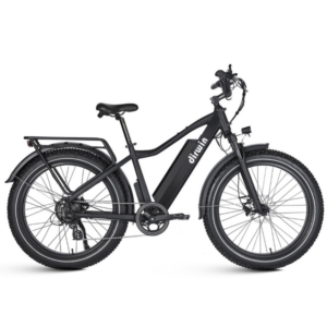 dirwin-seeker-750w-48v-all-terrain-fat-tire-electric-bike