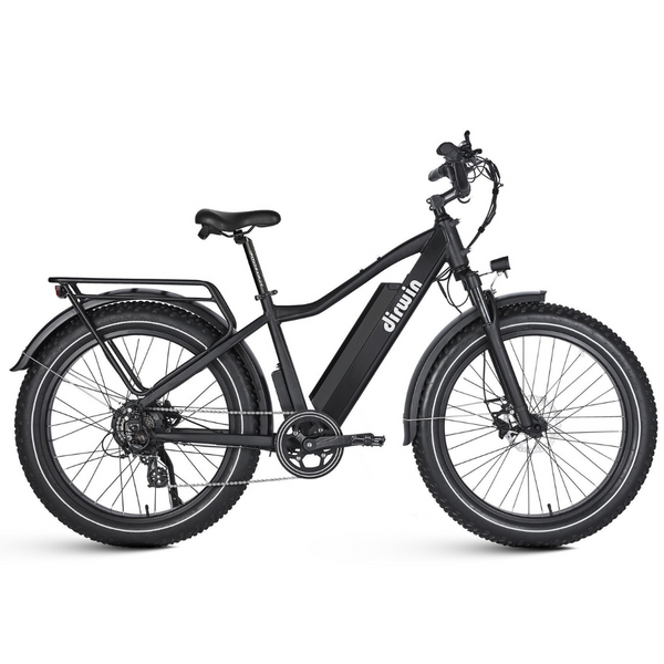 Dirwin Seeker 750W 48V All-Terrain Fat Tire Electric Bike