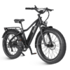 Dirwin Seeker 750W 48V All-Terrain Fat Tire Electric Bike