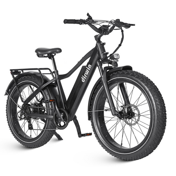 Dirwin Seeker 750W 48V All-Terrain Fat Tire Electric Bike