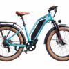 DWMEIGI Artemis 48V/16Ah 750W Fat Tire Electric Bike