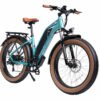 DWMEIGI Artemis 48V/16Ah 750W Fat Tire Electric Bike