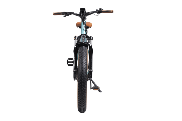 DWMEIGI Artemis 48V/16Ah 750W Fat Tire Electric Bike