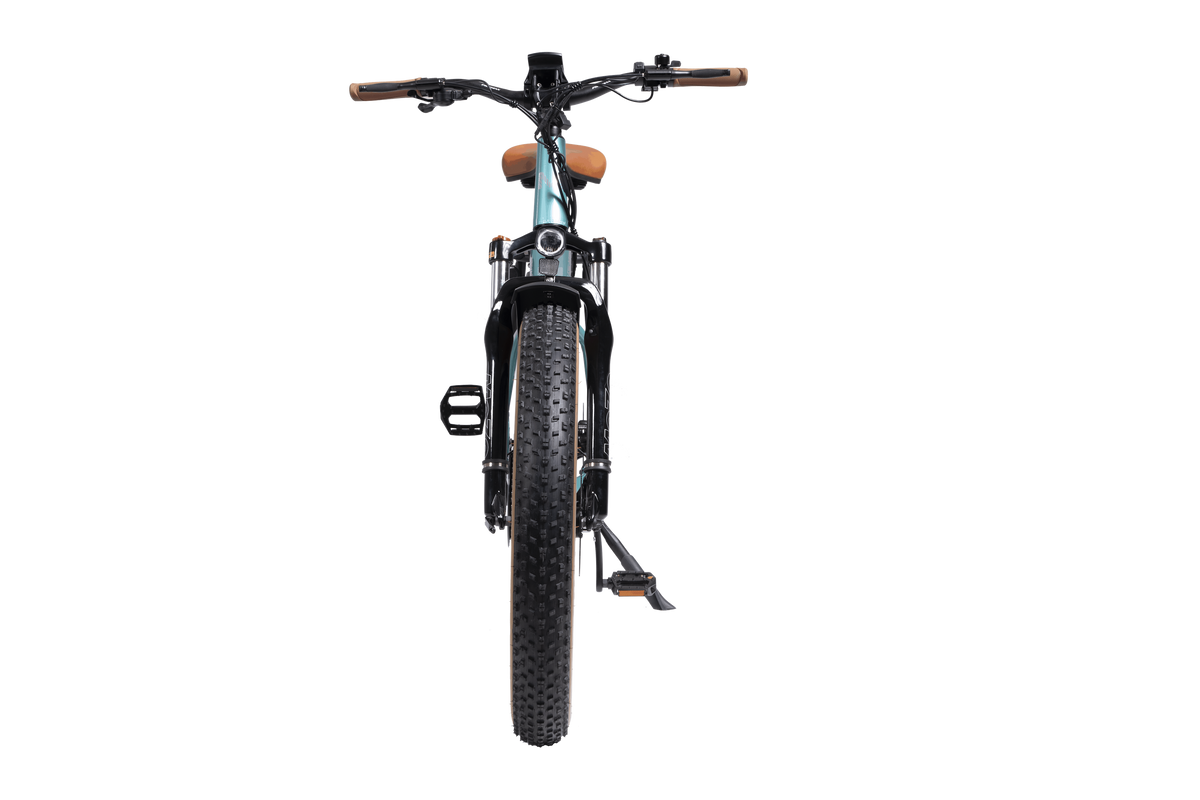 DWMEIGI Artemis 48V/16Ah 750W Fat Tire Electric Bike