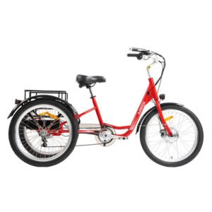 dwmeigi-hera-mg708-350w-36v-15ah-electric-tricycle