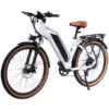 DWMEIGI Hestia 750W 48V/13Ah Step Through Electric Commuter Bike