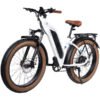 DWMEIGI MG8714-ARTEMIS 750W 48V/16Ah Step-Thru Fat Tire Mountain Electric Bike