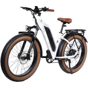 dwmeigi-mg8714-artemis-750w-48v-16ah-step-thru-fat-tire-mountain-electric-bike