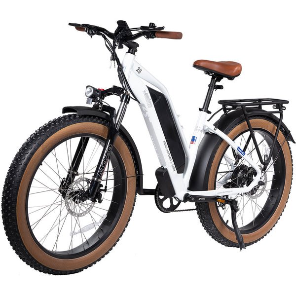 DWMEIGI MG8714-ARTEMIS 750W 48V/16Ah Step-Thru Fat Tire Mountain Electric Bike