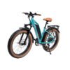 DWMEIGI MG8714-ARTEMIS 750W 48V/16Ah Step-Thru Fat Tire Mountain Electric Bike