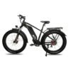 DWMEIGI Pegasus 48V/16Ah 750W Fat Tire Electric Bike