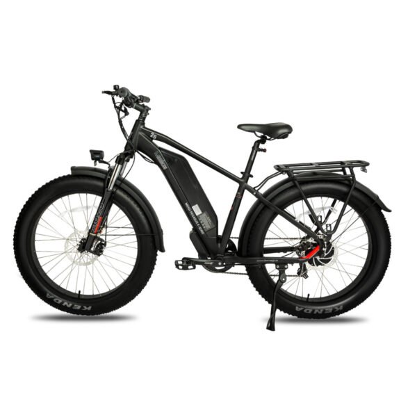 DWMEIGI Pegasus 48V/16Ah 750W Fat Tire Electric Bike