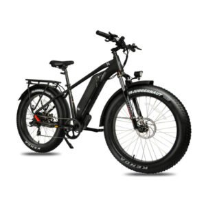 dwmeigi-pegasus-48v-16ah-750w-fat-tire-electric-bike
