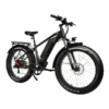 DWMEIGI Pegasus 750W 48V/16Ah All Terrain Step-Over Fat Tire Mountain Electric Bike