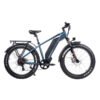 DWMEIGI Pegasus 750W 48V/16Ah All Terrain Step-Over Fat Tire Mountain Electric Bike