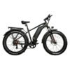 DWMEIGI Pegasus 750W 48V/16Ah All Terrain Step-Over Fat Tire Mountain Electric Bike