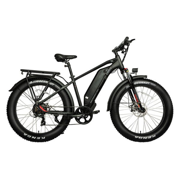 DWMEIGI Pegasus 750W 48V/16Ah All Terrain Step-Over Fat Tire Mountain Electric Bike