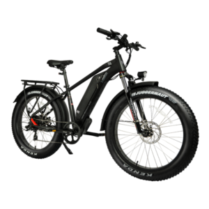 dwmeigi-pegasus-750w-48v-16ah-all-terrain-step-over-fat-tire-mountain-electric-bike