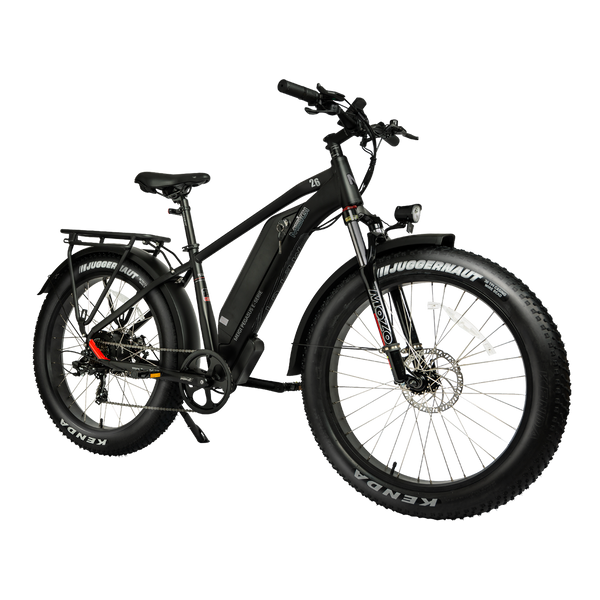 DWMEIGI Pegasus 750W 48V/16Ah All Terrain Step-Over Fat Tire Mountain Electric Bike