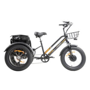 dwmeigi-zeus-mg1703-750w-48v-18-2ah-fat-tire-electric-trike-2