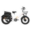 DWMEIGI Zeus MG1703 750W 48V/18.2Ah Fat Tire Electric Trike