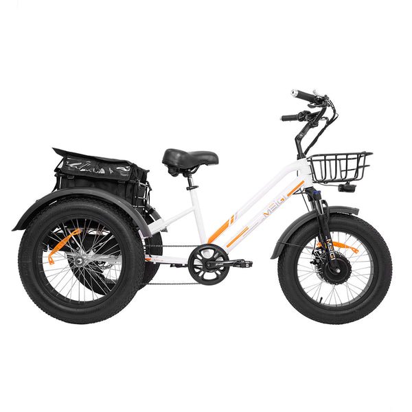 DWMEIGI Zeus MG1703 750W 48V/18.2Ah Fat Tire Electric Trike