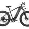 DYU King 750 48V/20Ah 750W Fat Tire Electric Bike