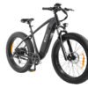 DYU King 750 48V/20Ah 750W Fat Tire Electric Bike