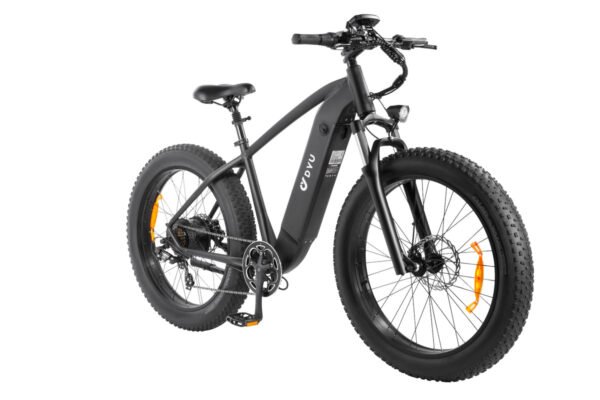 DYU King 750 48V/20Ah 750W Fat Tire Electric Bike