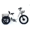 Emojo Bison Pro Folding Electric Trike 750W 48V