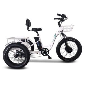emojo-caddy-500w-48v-fat-tire-electric-tricycle-2