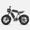 ENGWE M20 48V 13Ah/26Ah 750W All-Terrain Electric Bike