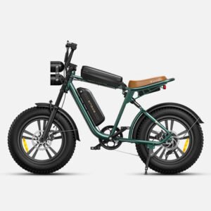 engwe-m20-48v-13ah-26ah-750w-all-terrain-electric-bike
