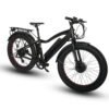 EUNORAU FAT-AWD 48V 15.6Ah/25Ah 600W All Wheel Drive Fat Tire Electric Bike