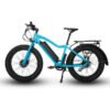 EUNORAU FAT-AWD All Wheel Drive 48V, 250W+350W Commuter Fat Tire Electric Bike
