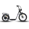 Eunorau Jumbo 48V/15.6Ah 1000W Stand Up Electric Scooter