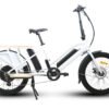 EUNORAU MAX-CARGO 48V/11.6Ah 750W Dual Battery Electric Cargo Bike